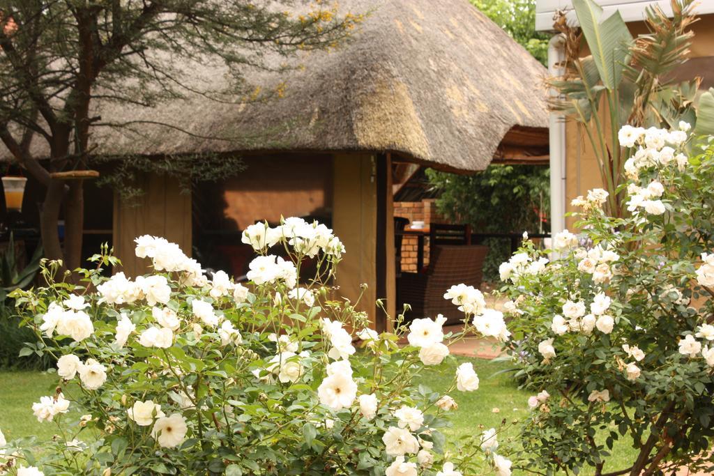 3 Brothers B&B Edenvale Exterior photo